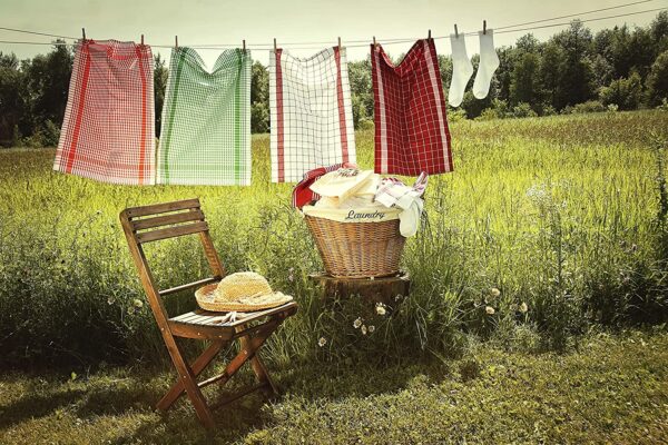 Corde à linge Extérieur Jardin Etendoir Salle de bain 20 Mètres plastifié hapygood pas cher