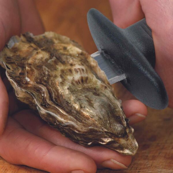 Plateau Fruits de Mer avec Support Pliable et Couteau à Huîtres