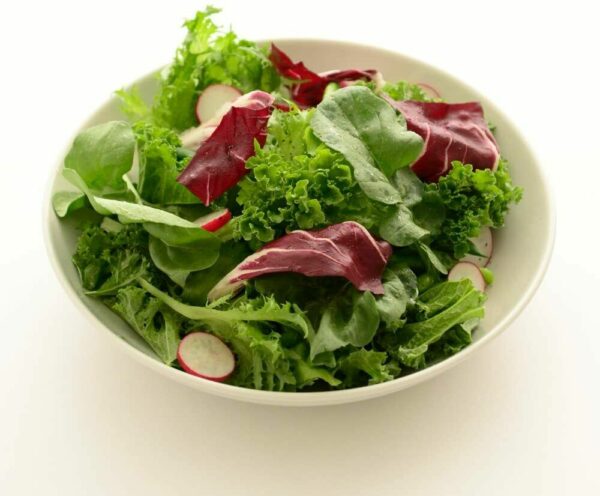 lot de 4 assiettes creuse ronde c’est l’idéal pour servir vos coucous , salades , huîtres