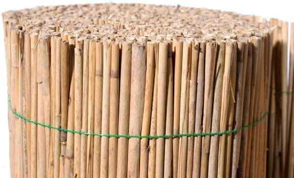 Canisse Brise Vue Naturel Tapis de Roseau Tissé 100 x 500 cm
