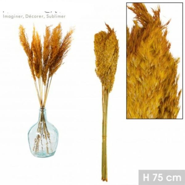 Ce bouquet fleurs séchées sera parfaite pour la décoration de lieu de passage maison , bureau ect … : La hauteur totale de l’herbe de la pampa est d’environ plus ou moins de 75/80 cm.