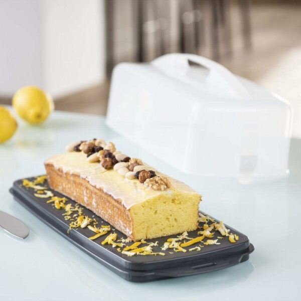 Boîte à Gâteau Rectangulaire Plat à Cake Avec Cloche et Poignée